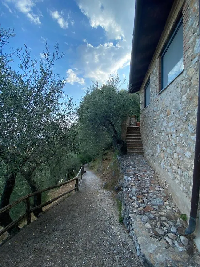 Vila Casa La Vista Camaiore 0*,