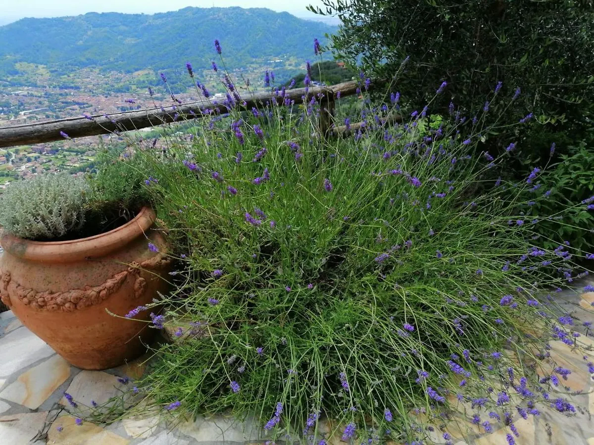 Vila Casa La Vista Camaiore 0*,